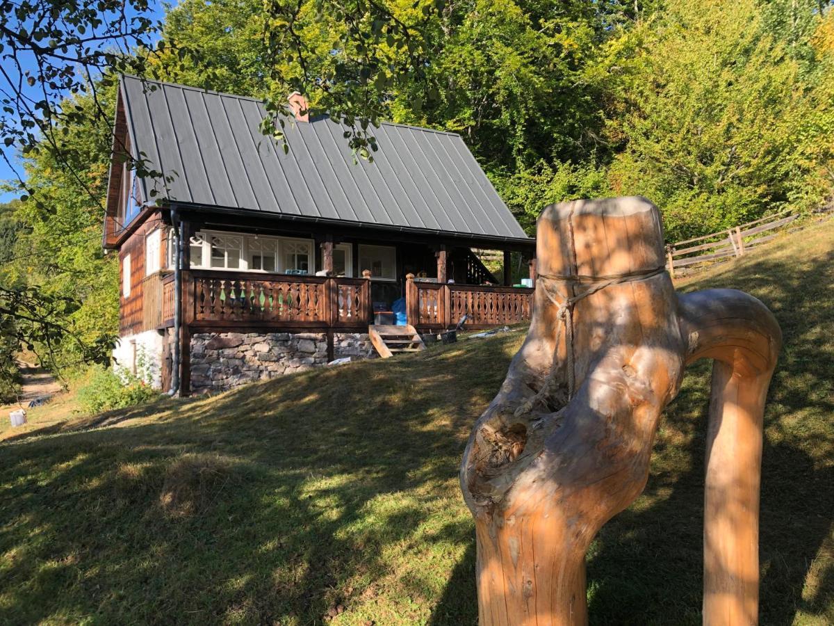 La Noi La Munte Villa Matisesti Exterior photo